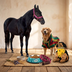Hand-embroidered leather dog collar