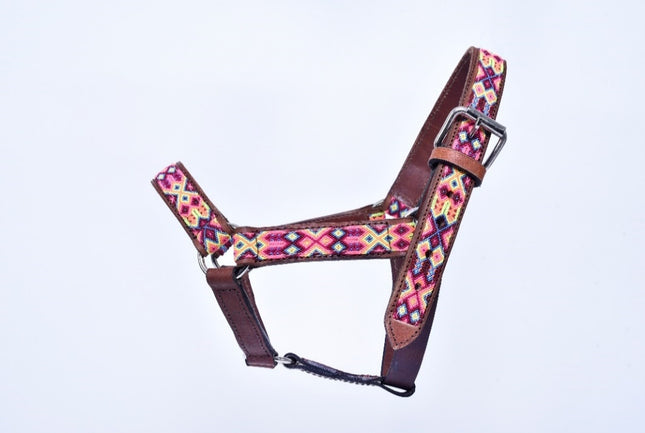 Hand-Embroidered Leather Horse Halter — Racehorse (Pink / Yellow / Wine)