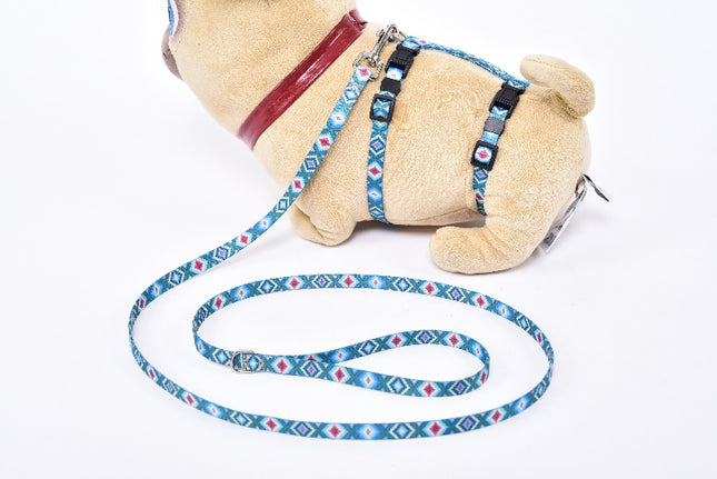 Thin Leash & Harness Set — Small Breed (Blue)