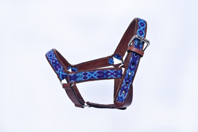 Hand-Embroidered Leather Horse Halter — Racehorse (Light Blue / Navy / Purple)