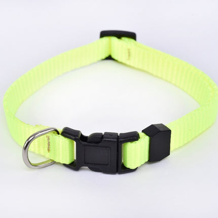 Small Breed Dog Collar — Fluorescent Green