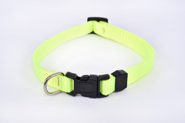 Small Breed Dog Collar — Fluorescent Green