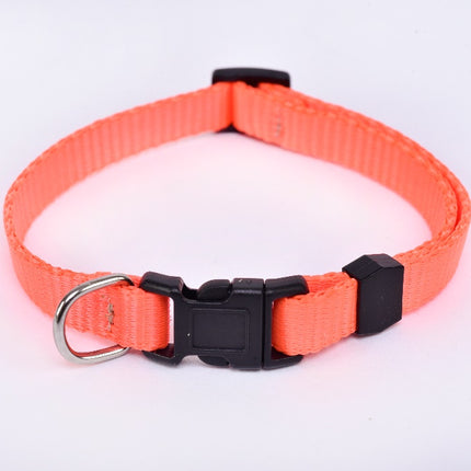 Small Breed Dog Collar — Fluorescent Orange