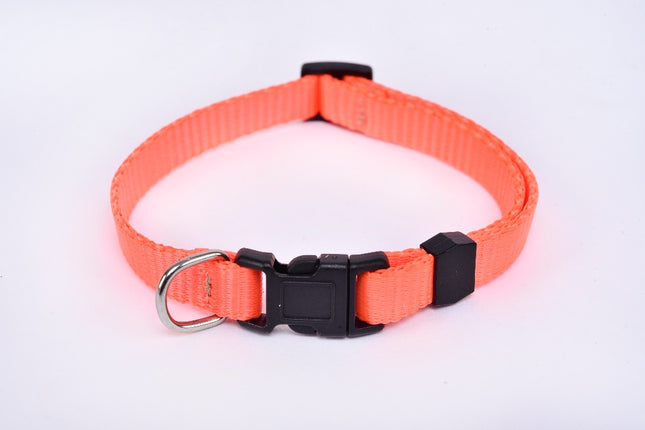 Small Breed Dog Collar — Fluorescent Orange