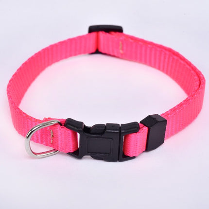 Small Breed Dog Collar — Pink