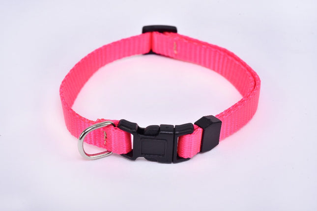 Small Breed Dog Collar — Pink