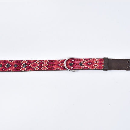 Hand-Embroidered Leather Dog Collar — Thick Medium (Mix Colors)